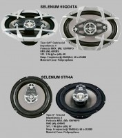 /album/alto-falantes/selenium-6-6x9-jpg/